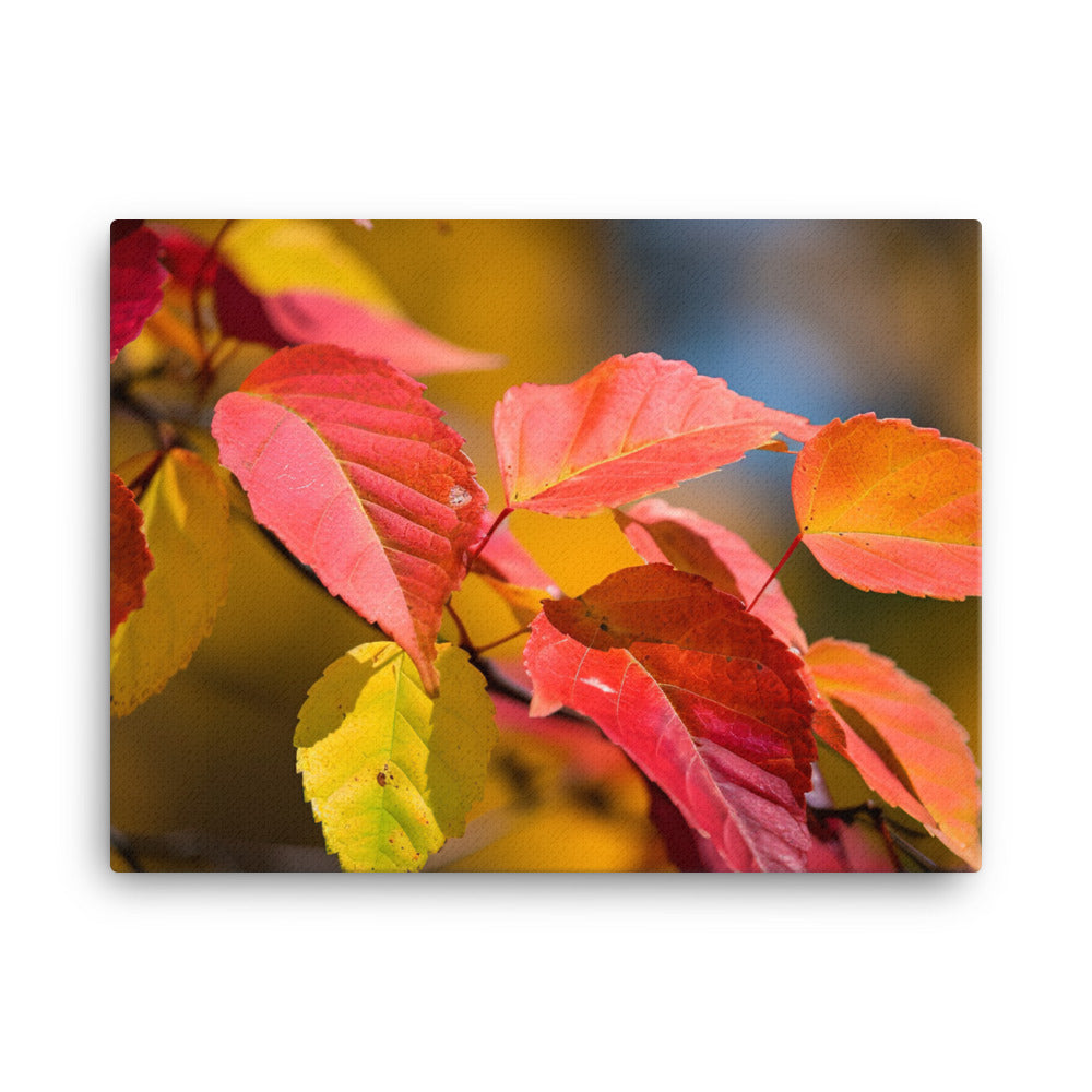 Vibrant Fall Foliage canvas - Posterfy.AI