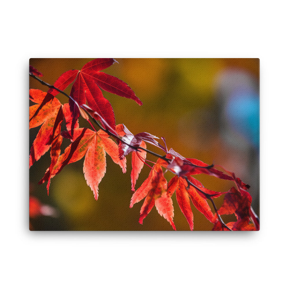 Vibrant Fall Foliage canvas - Posterfy.AI