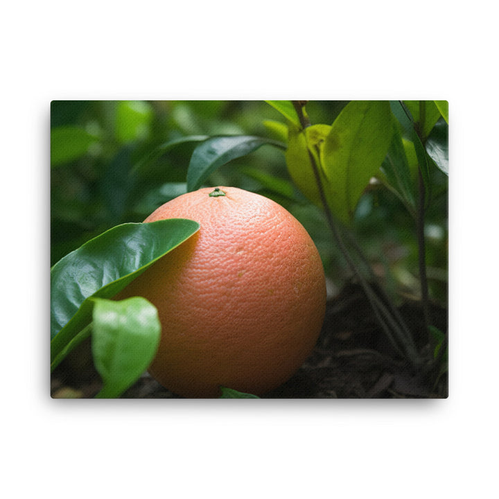 Grapefruit and Greens canvas - Posterfy.AI