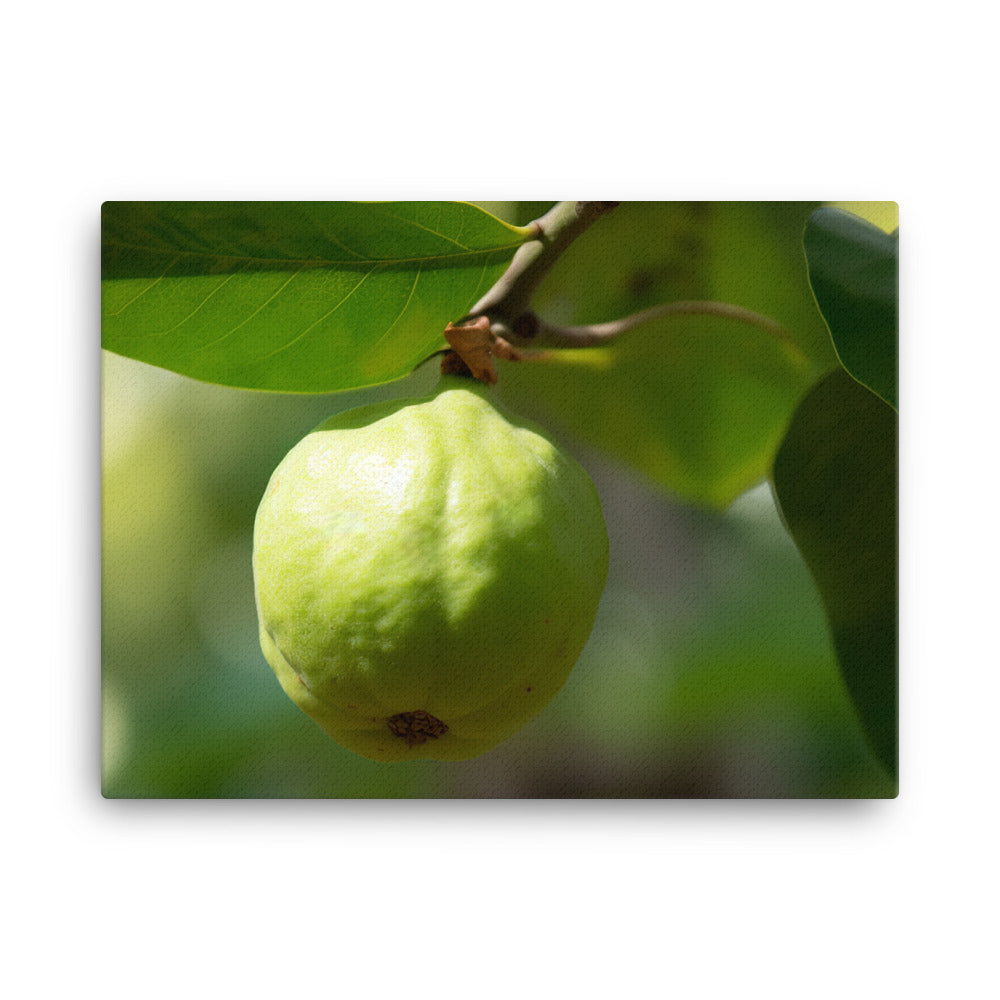 Guava on the Tree canvas - Posterfy.AI
