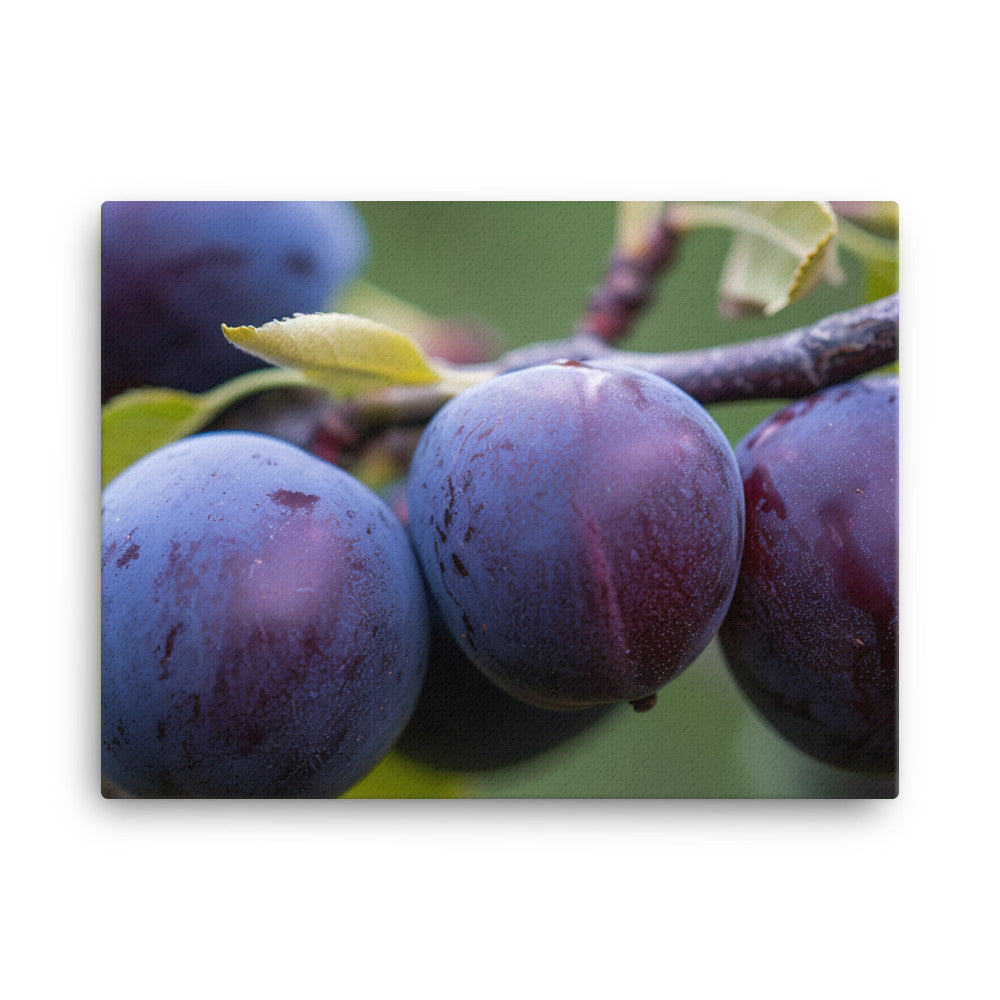 Plums on a Tree canvas - Posterfy.AI