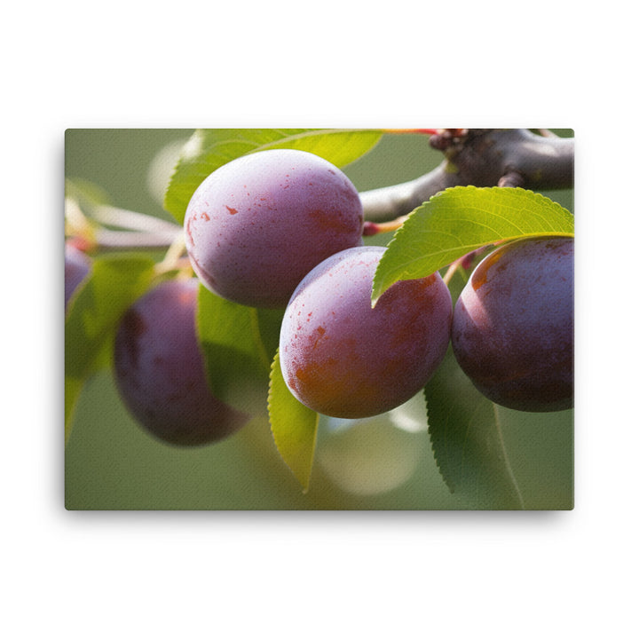 Plums on a Tree canvas - Posterfy.AI