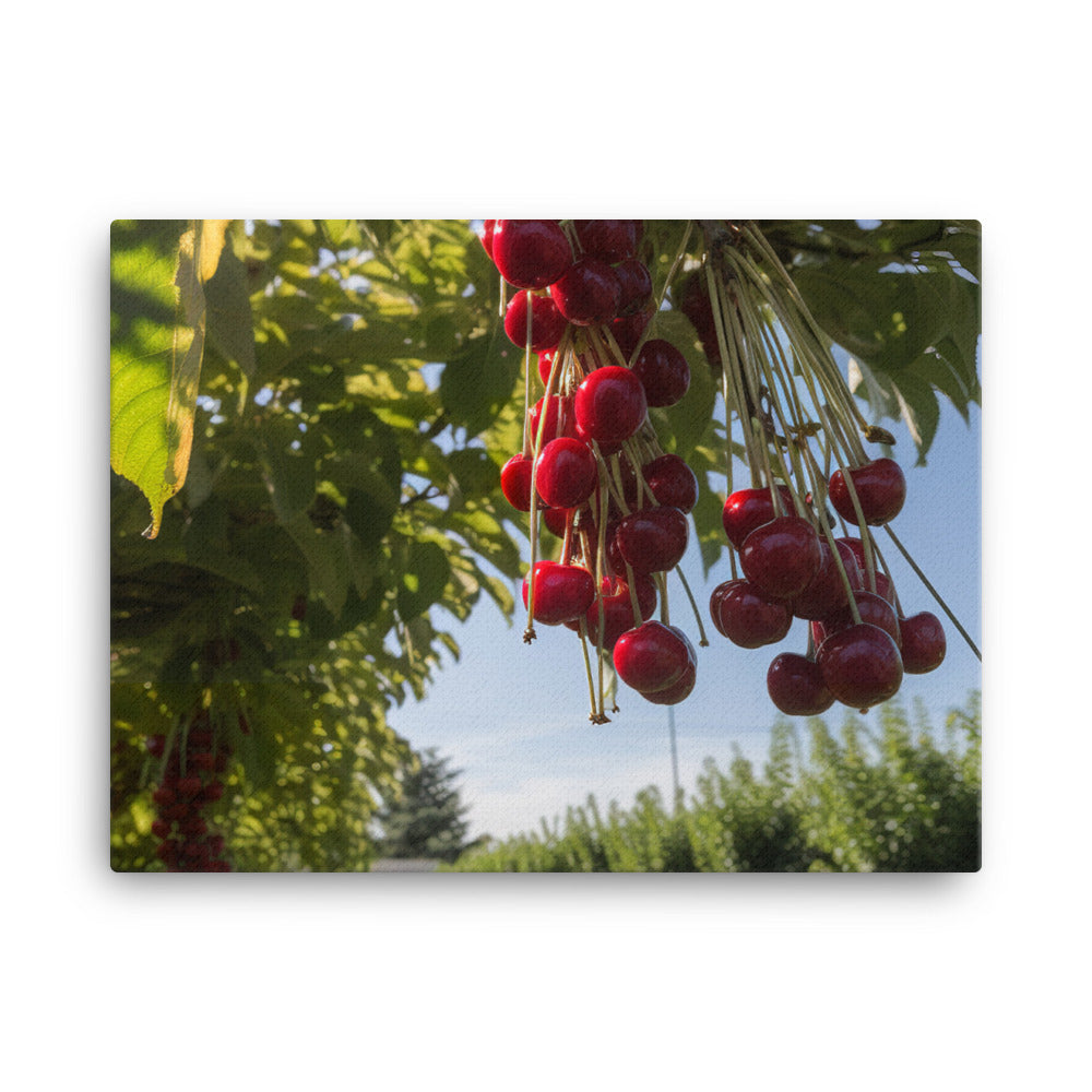 Cherry Picking Season canvas - Posterfy.AI