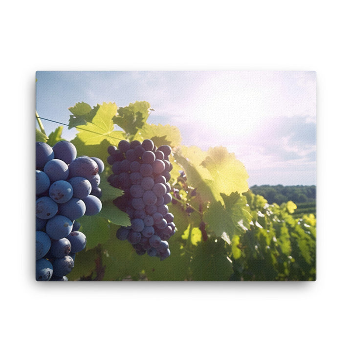 Vineyard Beauty canvas - Posterfy.AI