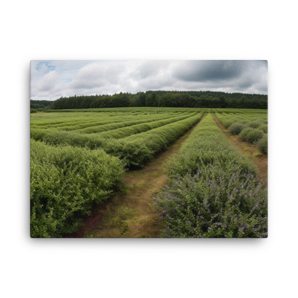 Blueberry Fields Forever canvas - Posterfy.AI