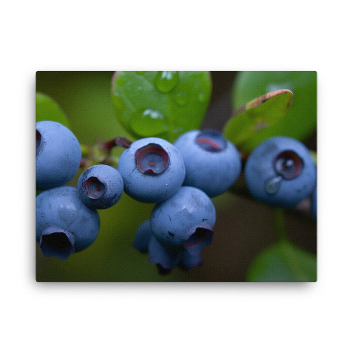 Sweet and Juicy Blueberries canvas - Posterfy.AI