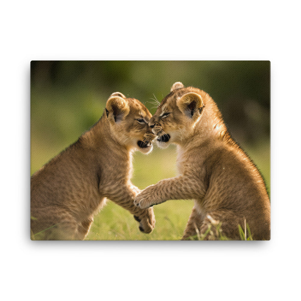 Lion Cubs Playtime canvas - Posterfy.AI