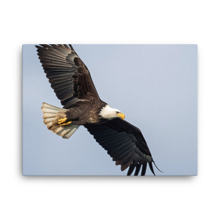 Majestic Bald Eagle Soaring in the Sky canvas - Posterfy.AI