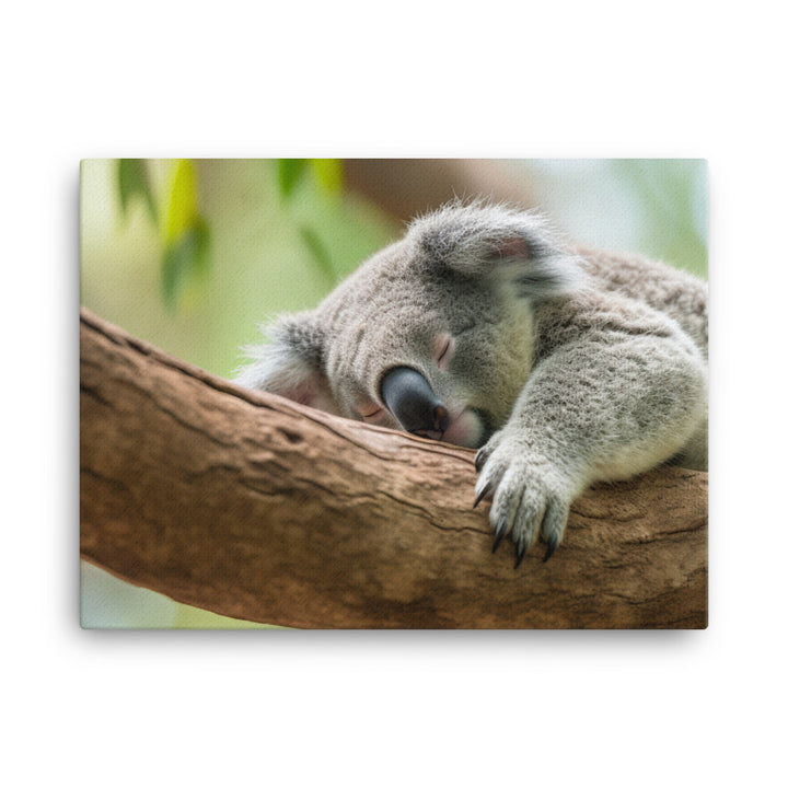 Koala Taking a Nap on a Tree Branch canvas - Posterfy.AI