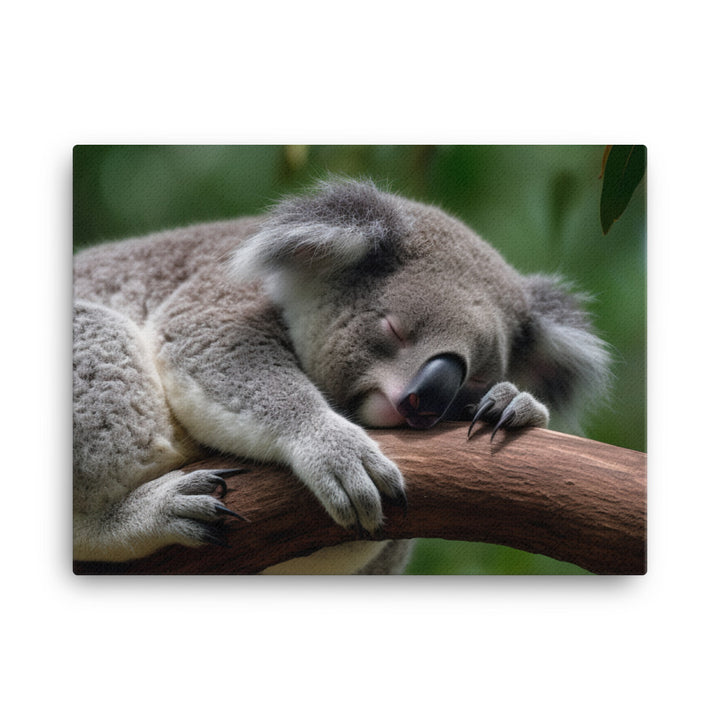 Koala Taking a Nap on a Tree Branch canvas - Posterfy.AI