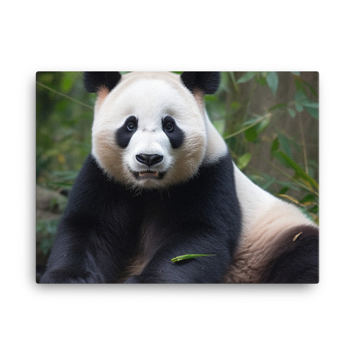 Panda Bear Posing for the Camera canvas - Posterfy.AI