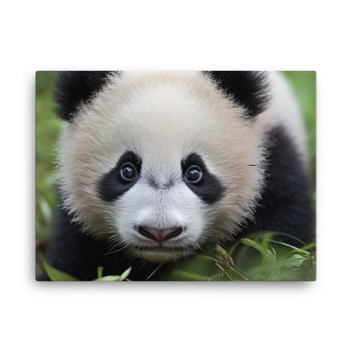 Adorable Panda Cub canvas - Posterfy.AI