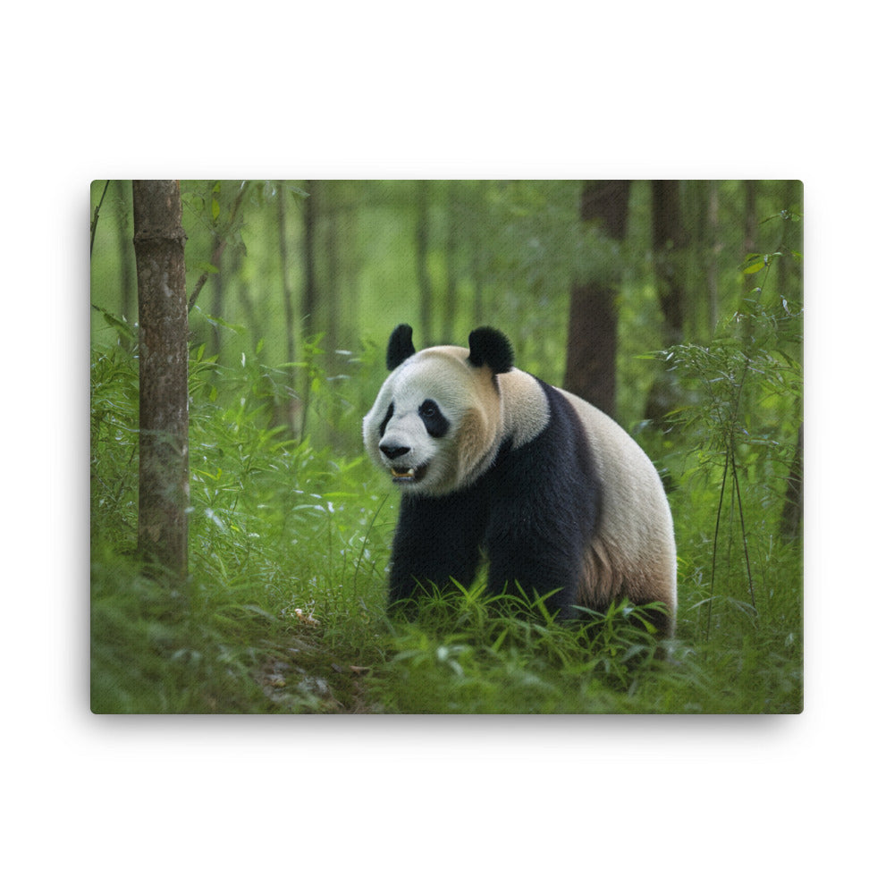 A majestic shot of an adult panda bear canvas - Posterfy.AI