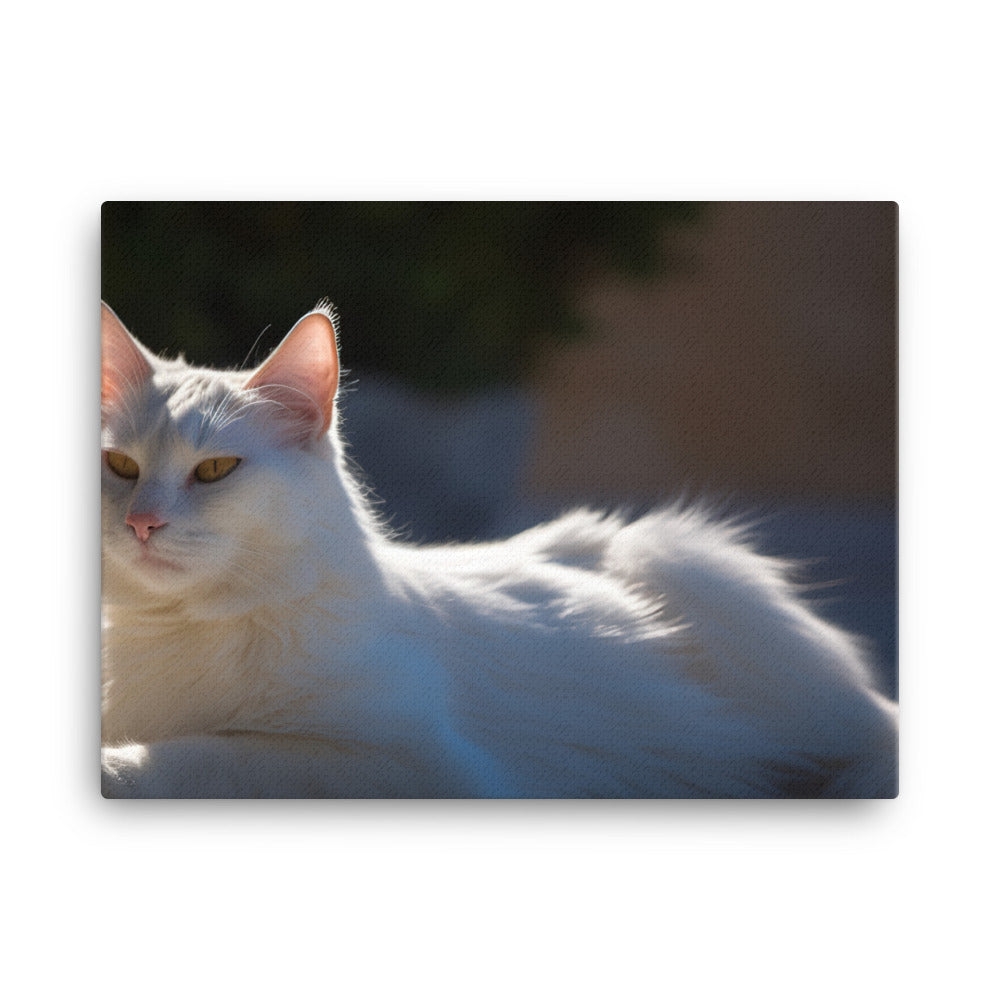 Graceful Turkish Angora relaxing in the sun canvas - Posterfy.AI