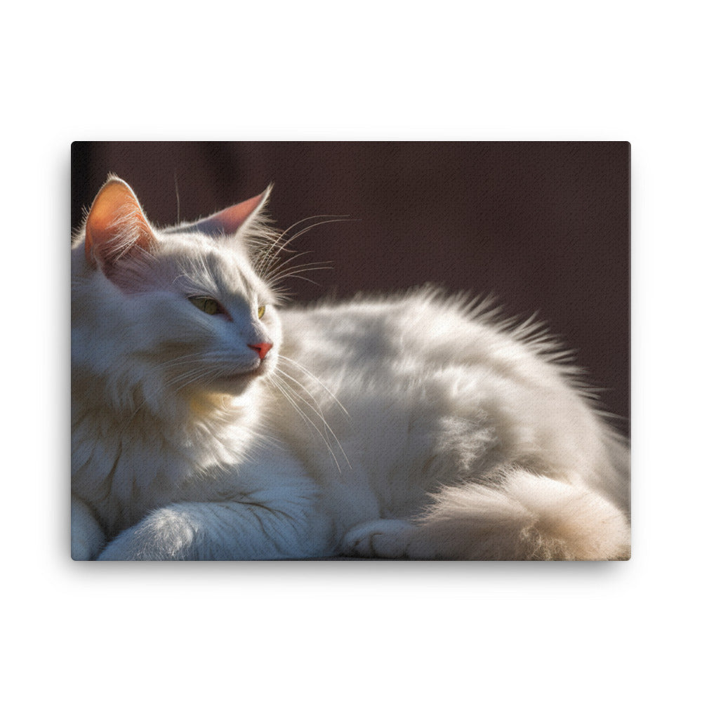 Graceful Turkish Angora relaxing in the sun canvas - Posterfy.AI