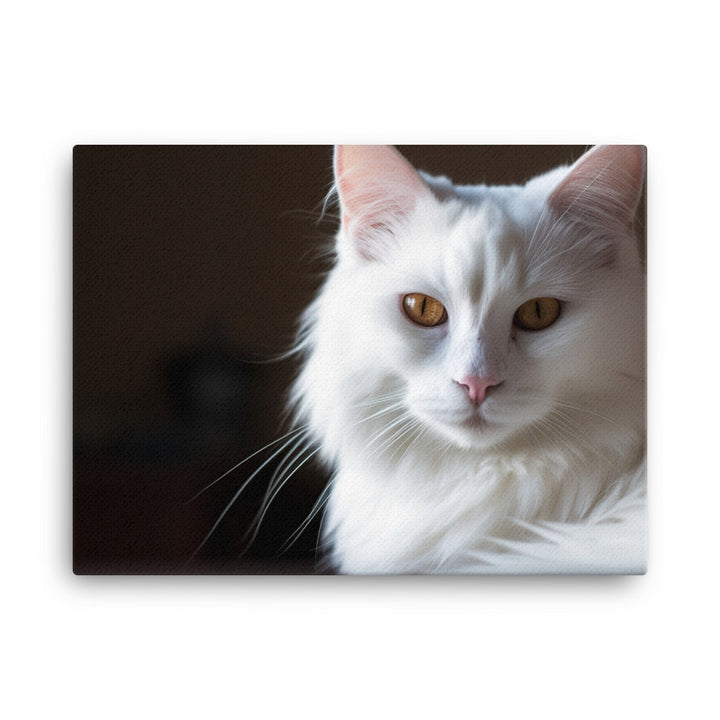 Elegant Turkish Angora posing for the camera canvas - Posterfy.AI