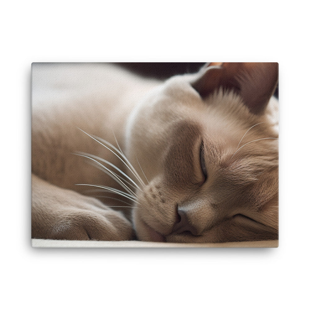 Sleeping Burmese Beauty canvas - Posterfy.AI