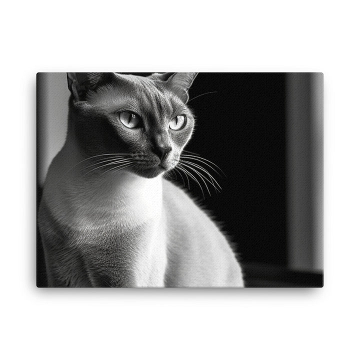 Burmese Beauty in Black and White canvas - Posterfy.AI