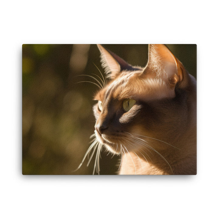 Beautiful Burmese in the Sun canvas - Posterfy.AI