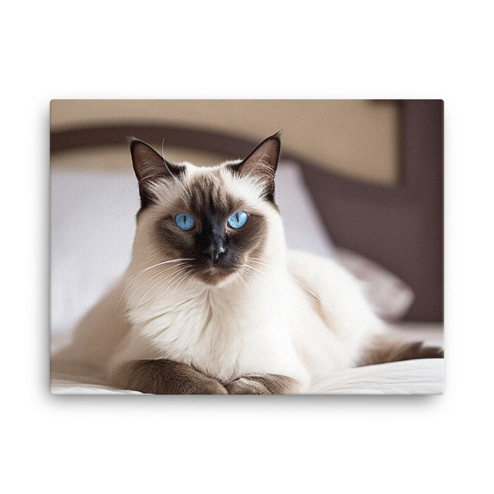 Majestic Balinese Cat Sitting on the Bed canvas - Posterfy.AI