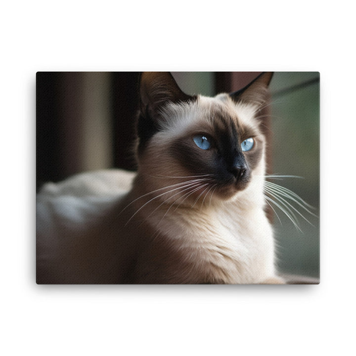 Graceful Balinese Cat Posing on the Window Sill canvas - Posterfy.AI