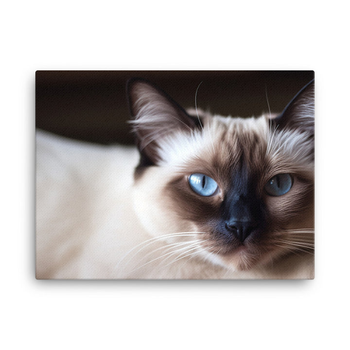 Gorgeous Balinese Cat Relaxing on the Couch canvas - Posterfy.AI