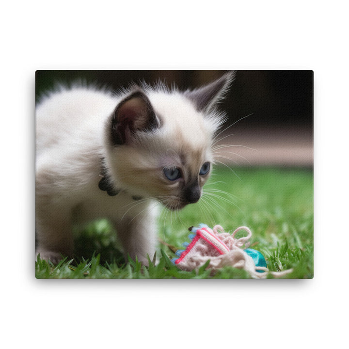 Adorable Balinese Kitten Playing with Toy canvas - Posterfy.AI