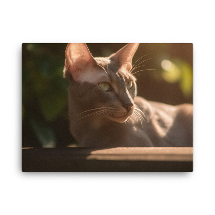 Curious Oriental Shorthair in Sunlight canvas - Posterfy.AI