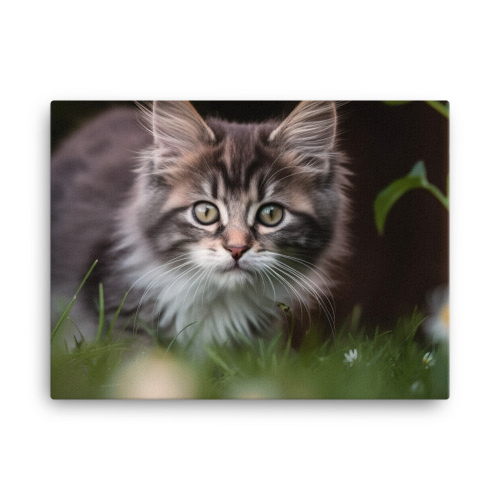 Playful Norwegian Forest Kitten in the Garden canvas - Posterfy.AI