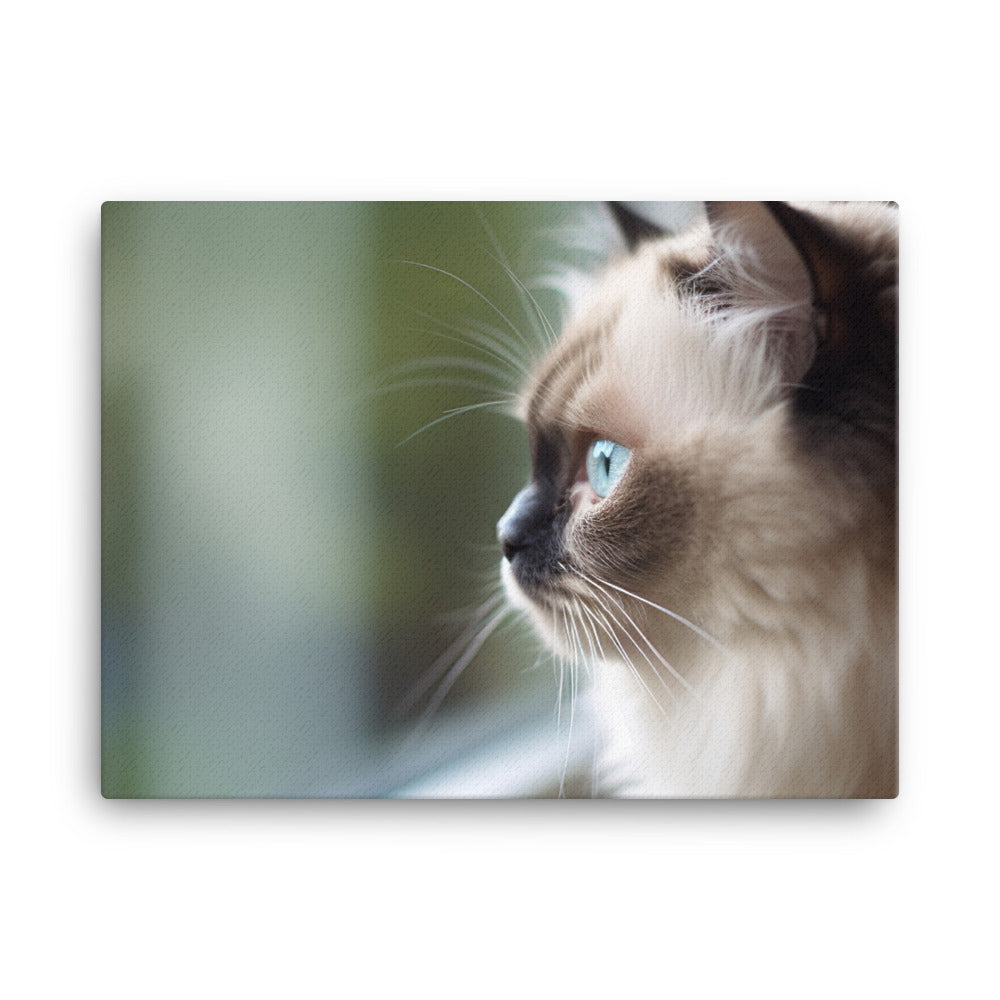 Himalayan kitten gazing out the window canvas - Posterfy.AI