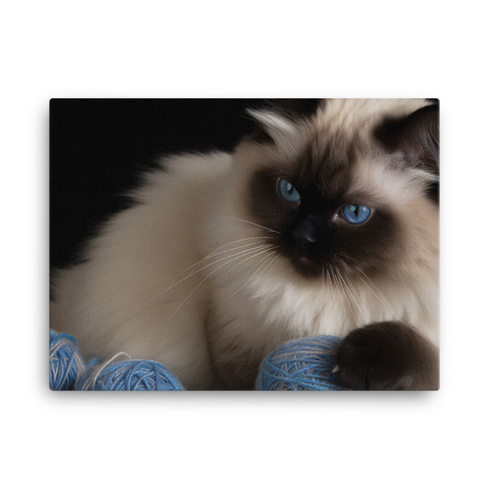 Himalayan cat playing with a ball of yarn canvas - Posterfy.AI