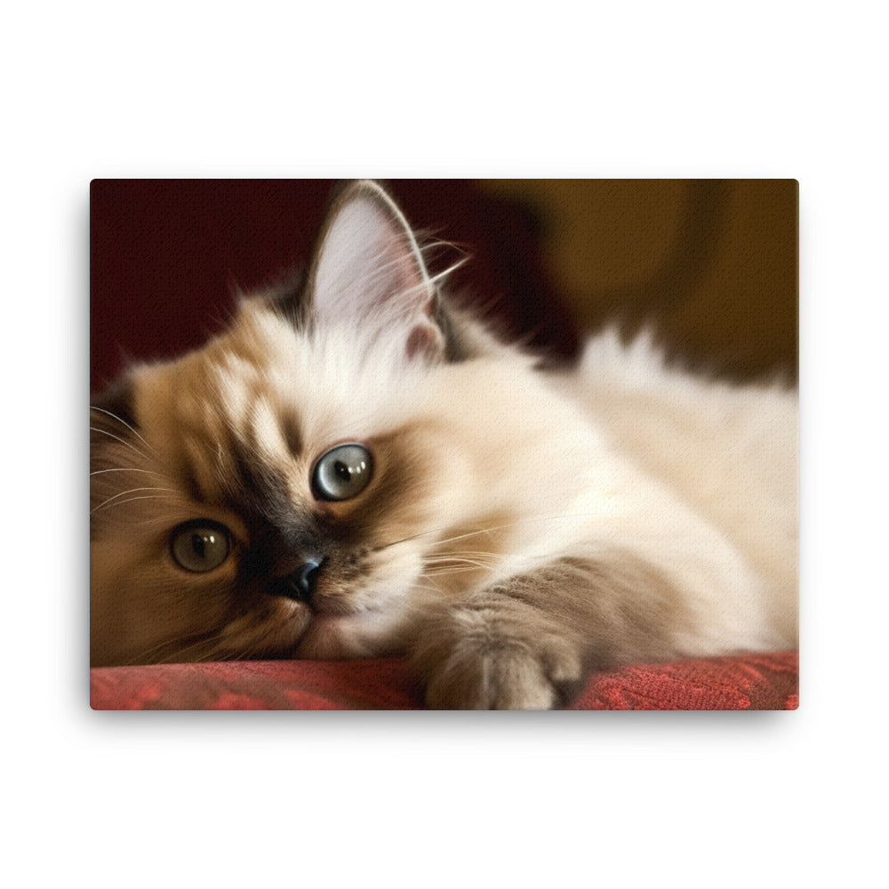 Adorable Himalayan Kitten resting on sofa canvas - Posterfy.AI