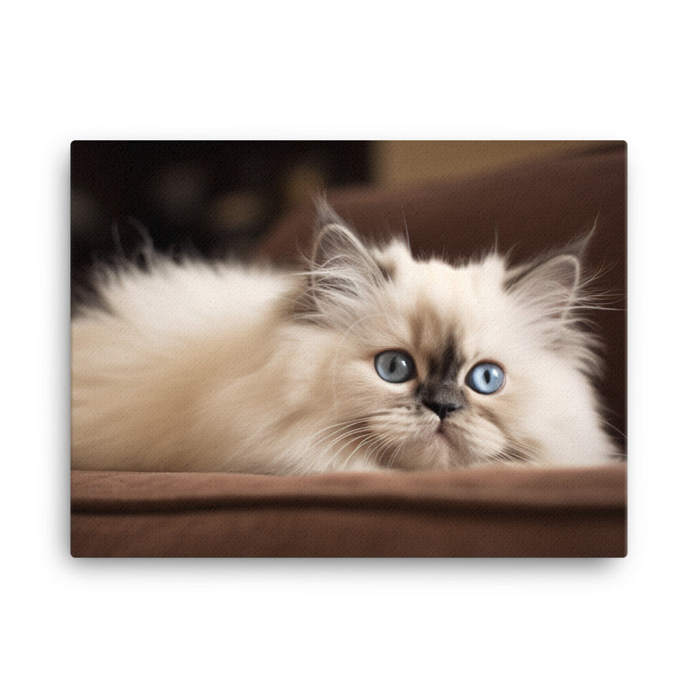 Adorable Himalayan Kitten resting on sofa canvas - Posterfy.AI