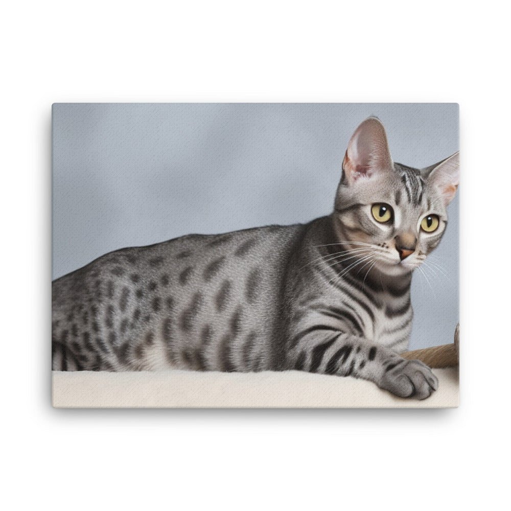 Egyptian Mau playing with toys  canvas - Posterfy.AI