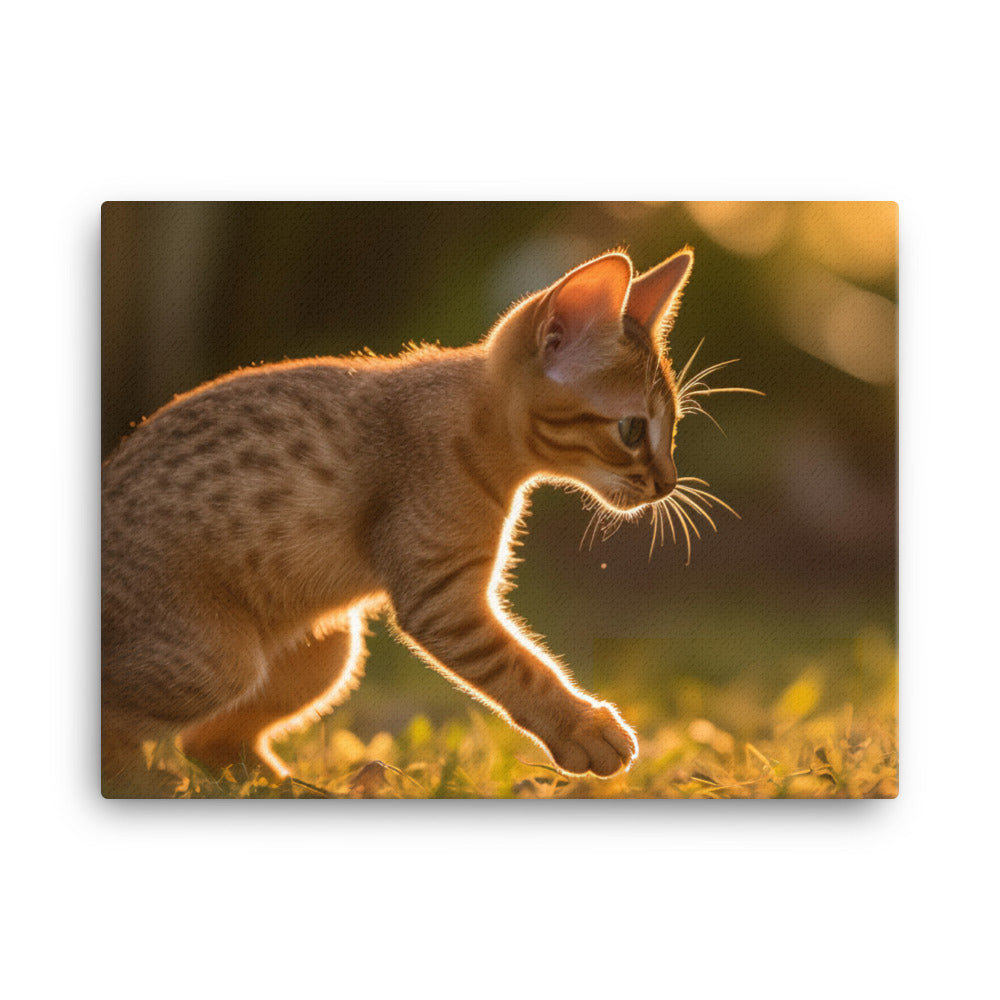 Playful Abyssinian kitten at sunset canvas - Posterfy.AI