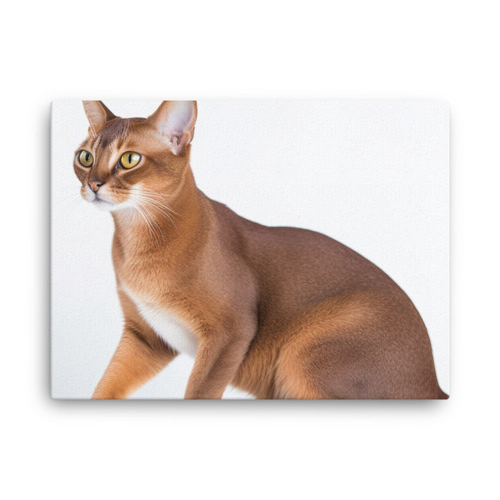 Elegant Abyssinian on a white background canvas - Posterfy.AI