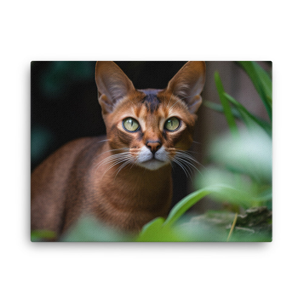 Curious Abyssinian exploring the garden canvas - Posterfy.AI
