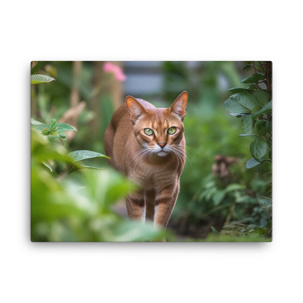 Curious Abyssinian exploring the garden canvas - Posterfy.AI