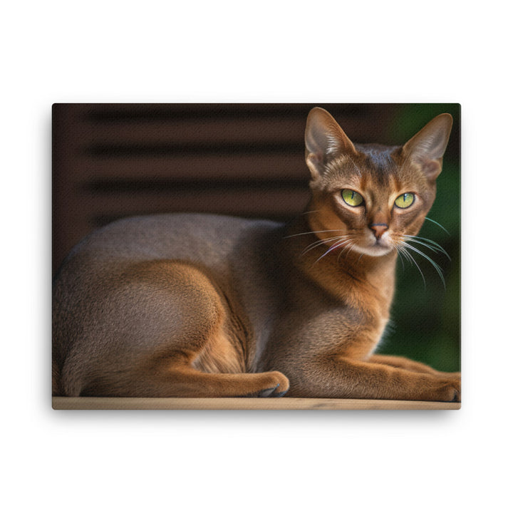 Adorable Abyssinian posing for the camera canvas - Posterfy.AI