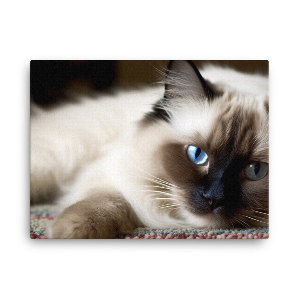 Fluffy Ragdoll Lounging on Plush Rug canvas - Posterfy.AI