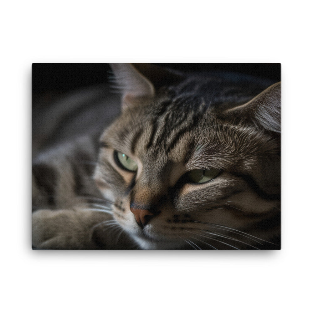 Cuddly American Shorthair enjoying lap time canvas - Posterfy.AI