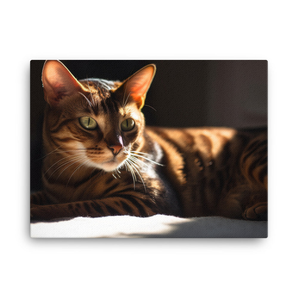 Majestic Bengal Cat Lounging in Sunbeam canvas - Posterfy.AI