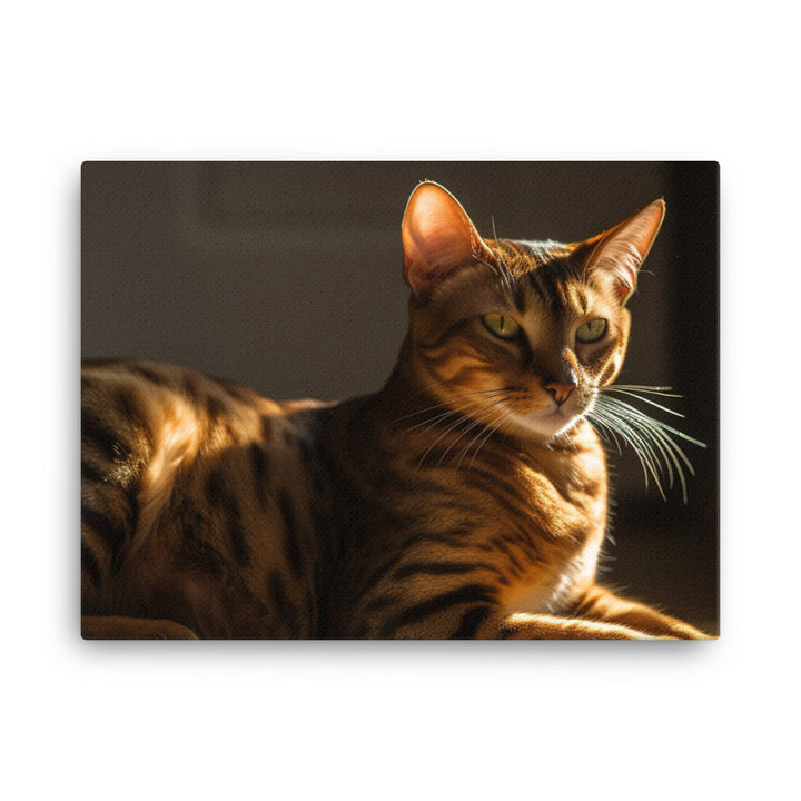 Majestic Bengal Cat Lounging in Sunbeam canvas - Posterfy.AI