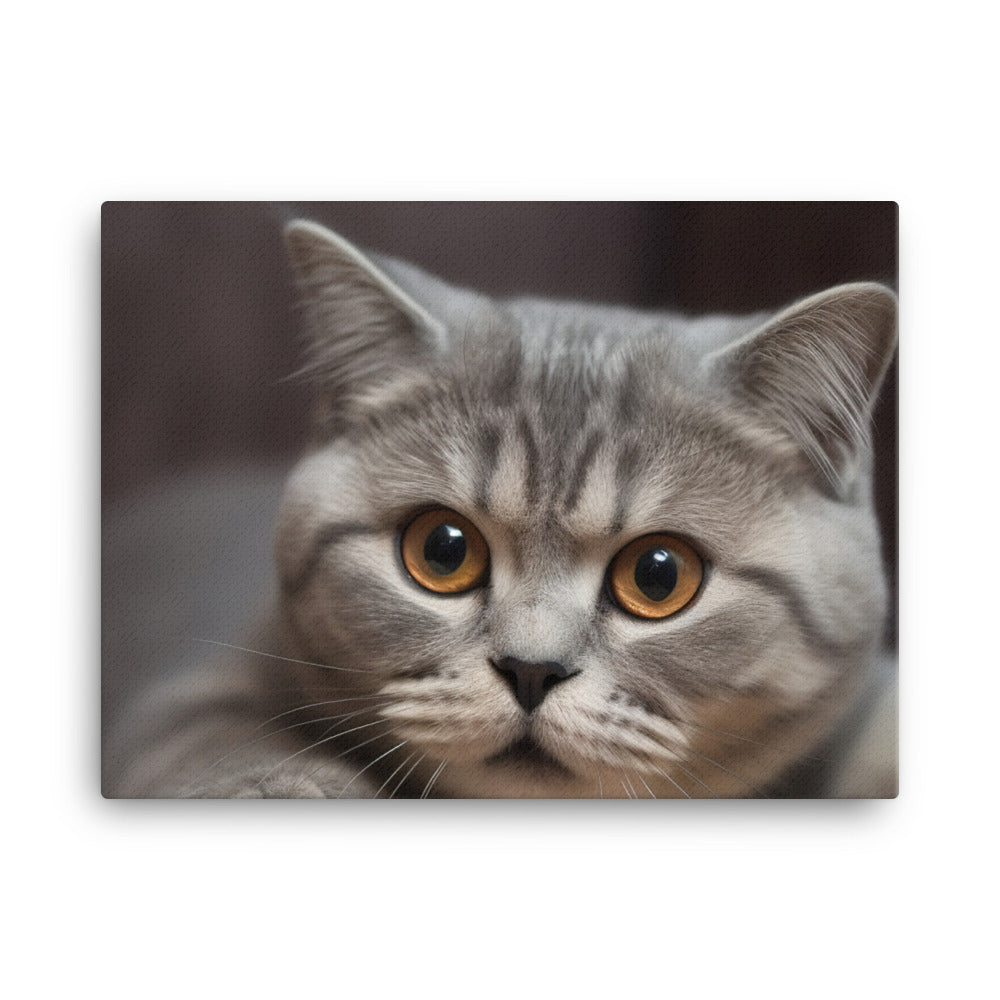 Portrait of a Scottish Fold cat canvas - Posterfy.AI