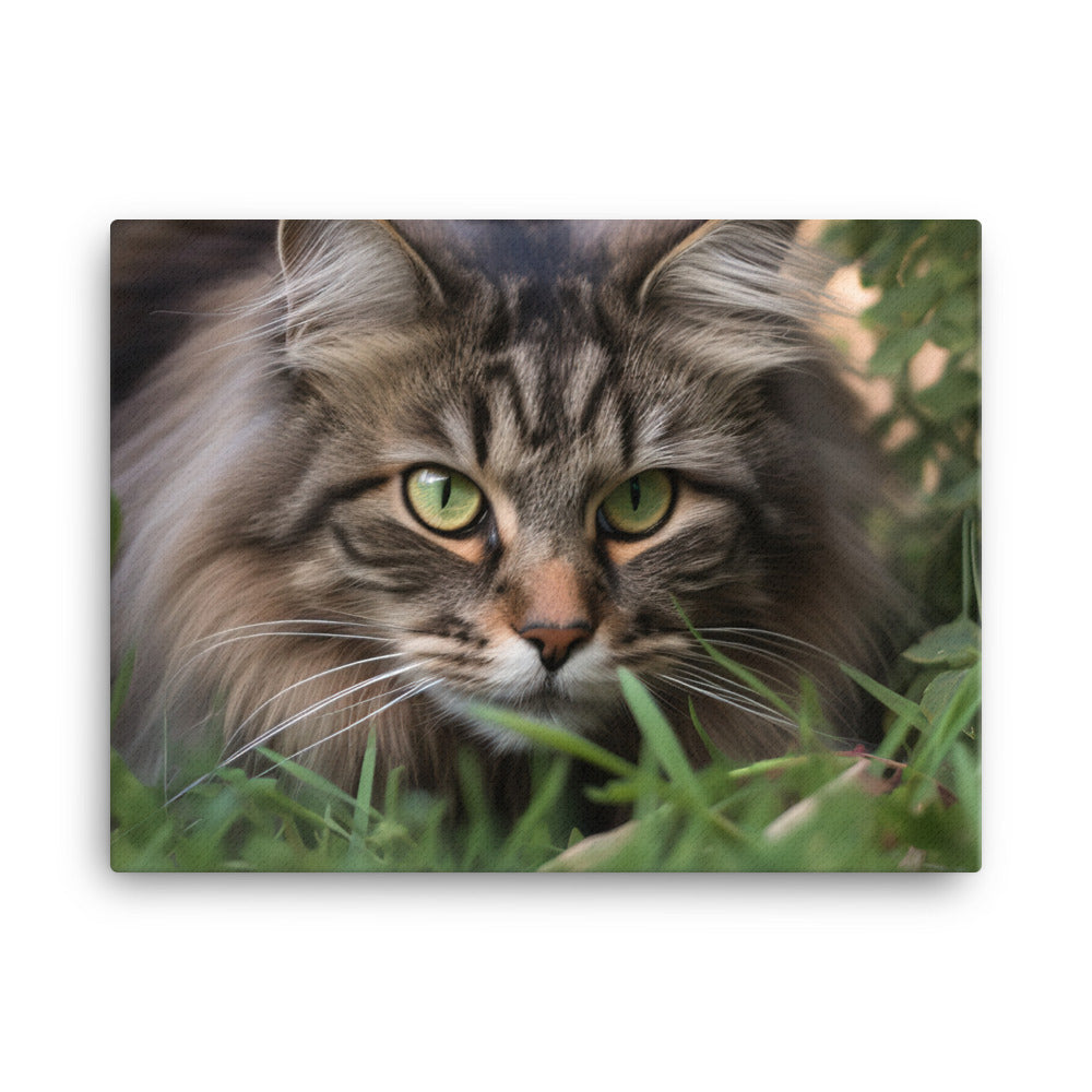 Maine Coon with a candid shot canvas - Posterfy.AI