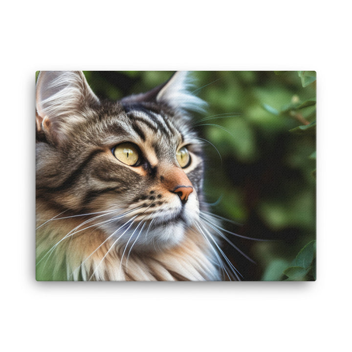 Maine Coon with a candid shot canvas - Posterfy.AI