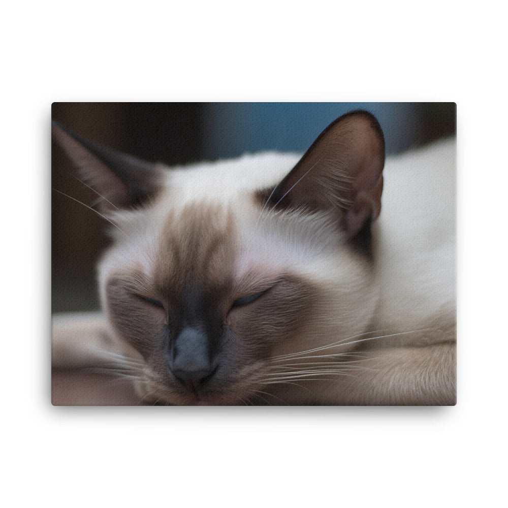 Sleepy Siamese Taking a Nap canvas - Posterfy.AI