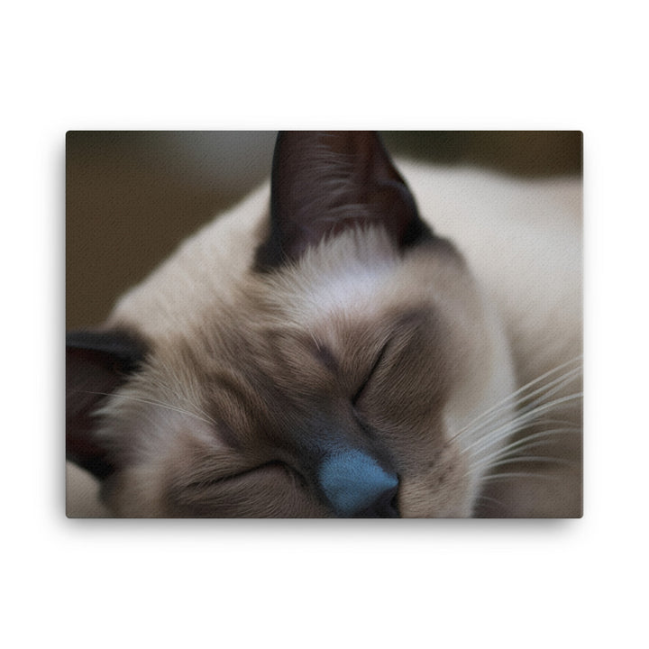 Sleepy Siamese Taking a Nap canvas - Posterfy.AI