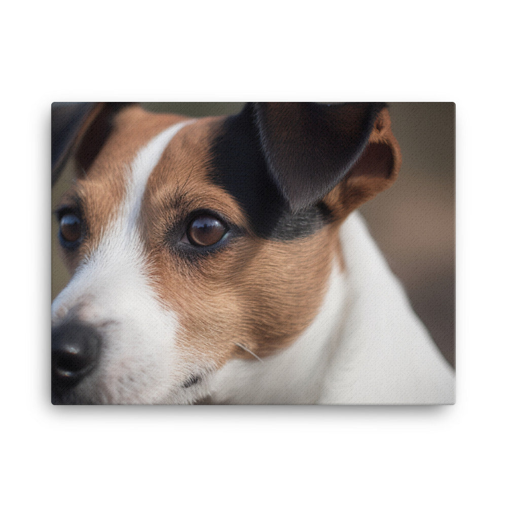Jack Russell Terriers Inquisitive Stare canvas - Posterfy.AI