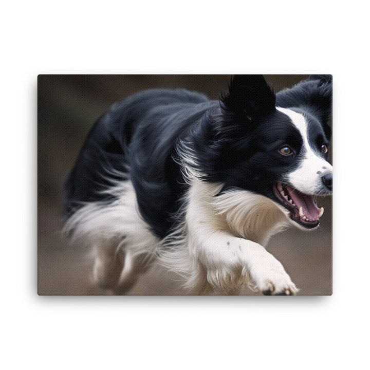 Energetic Border Collie in Action canvas - Posterfy.AI